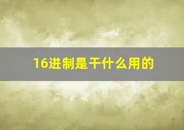 16进制是干什么用的