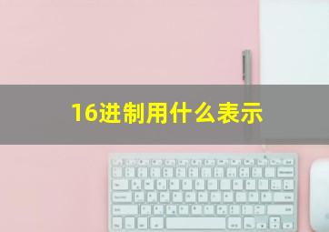 16进制用什么表示