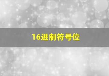 16进制符号位