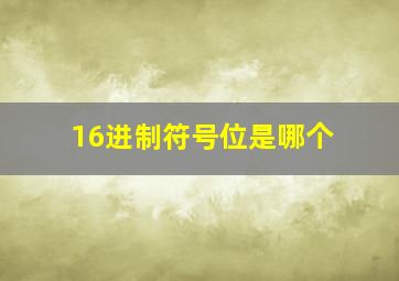 16进制符号位是哪个