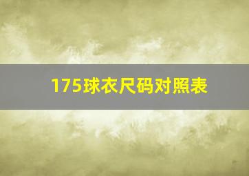 175球衣尺码对照表