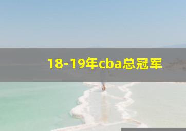 18-19年cba总冠军