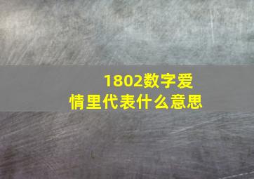 1802数字爱情里代表什么意思