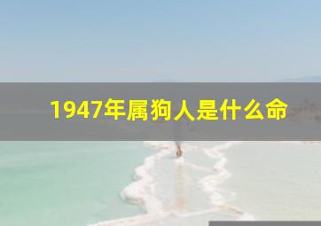 1947年属狗人是什么命