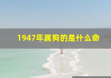 1947年属狗的是什么命