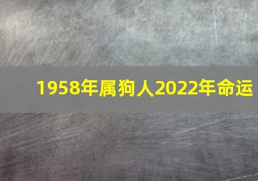 1958年属狗人2022年命运