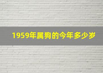 1959年属狗的今年多少岁