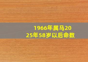 1966年属马2025年58岁以后命数