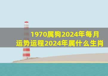 1970属狗2024年每月运势运程2024年属什么生肖