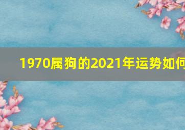 1970属狗的2021年运势如何