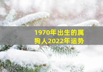 1970年出生的属狗人2022年运势