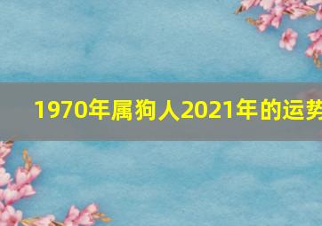 1970年属狗人2021年的运势