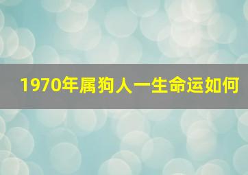 1970年属狗人一生命运如何