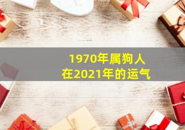 1970年属狗人在2021年的运气