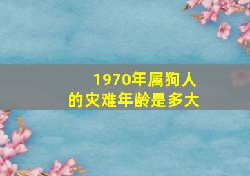 1970年属狗人的灾难年龄是多大