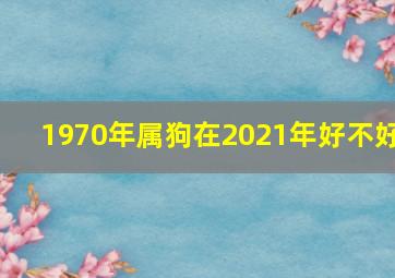 1970年属狗在2021年好不好