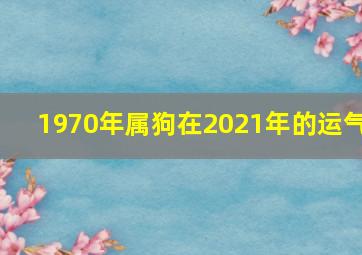 1970年属狗在2021年的运气