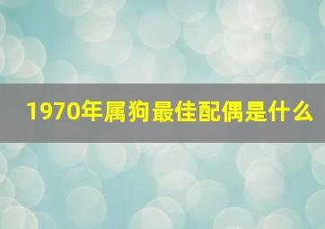 1970年属狗最佳配偶是什么