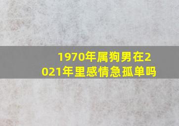 1970年属狗男在2021年里感情急孤单吗