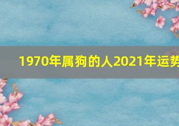 1970年属狗的人2021年运势