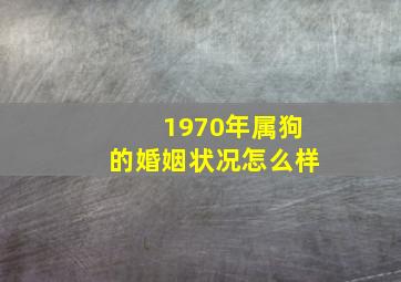 1970年属狗的婚姻状况怎么样