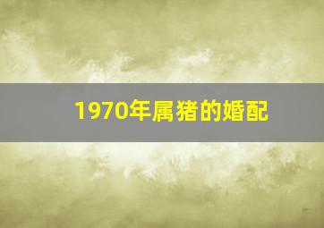 1970年属猪的婚配