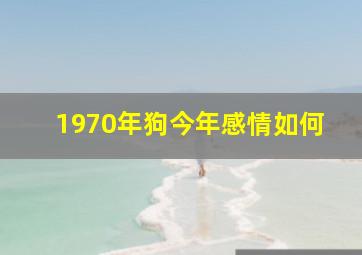 1970年狗今年感情如何