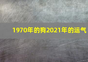 1970年的狗2021年的运气