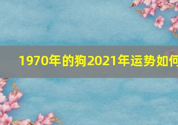 1970年的狗2021年运势如何