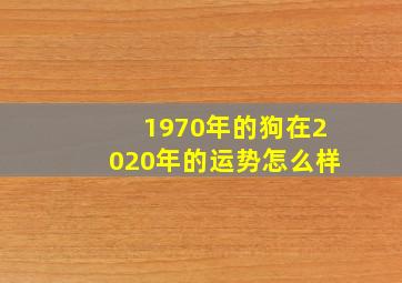 1970年的狗在2020年的运势怎么样