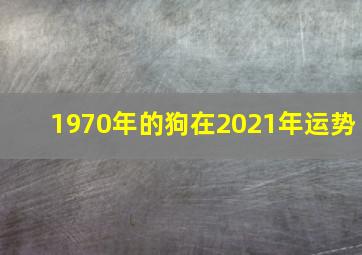 1970年的狗在2021年运势