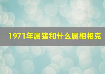 1971年属猪和什么属相相克