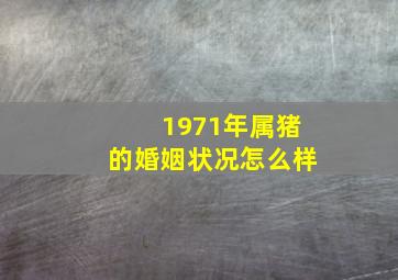 1971年属猪的婚姻状况怎么样