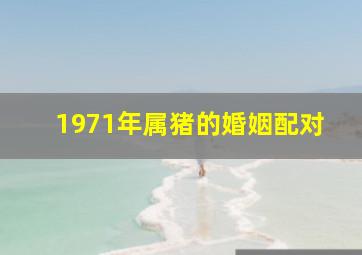 1971年属猪的婚姻配对