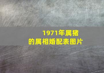 1971年属猪的属相婚配表图片