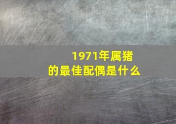 1971年属猪的最佳配偶是什么