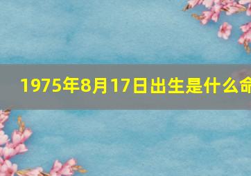 1975年8月17日出生是什么命