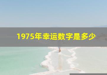 1975年幸运数字是多少