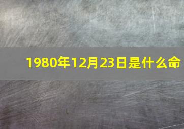 1980年12月23日是什么命