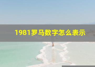 1981罗马数字怎么表示