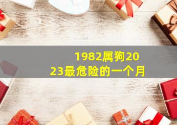 1982属狗2023最危险的一个月