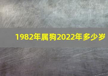 1982年属狗2022年多少岁