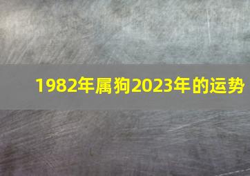 1982年属狗2023年的运势