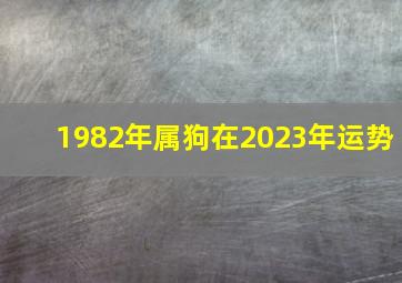 1982年属狗在2023年运势