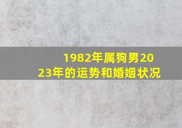 1982年属狗男2023年的运势和婚姻状况