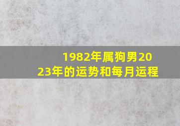 1982年属狗男2023年的运势和每月运程