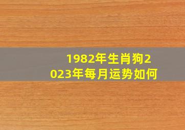 1982年生肖狗2023年每月运势如何