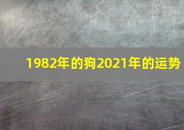 1982年的狗2021年的运势