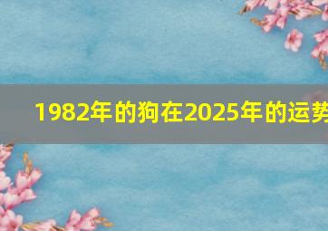 1982年的狗在2025年的运势