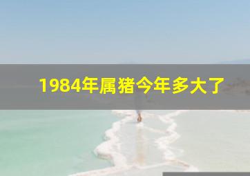 1984年属猪今年多大了